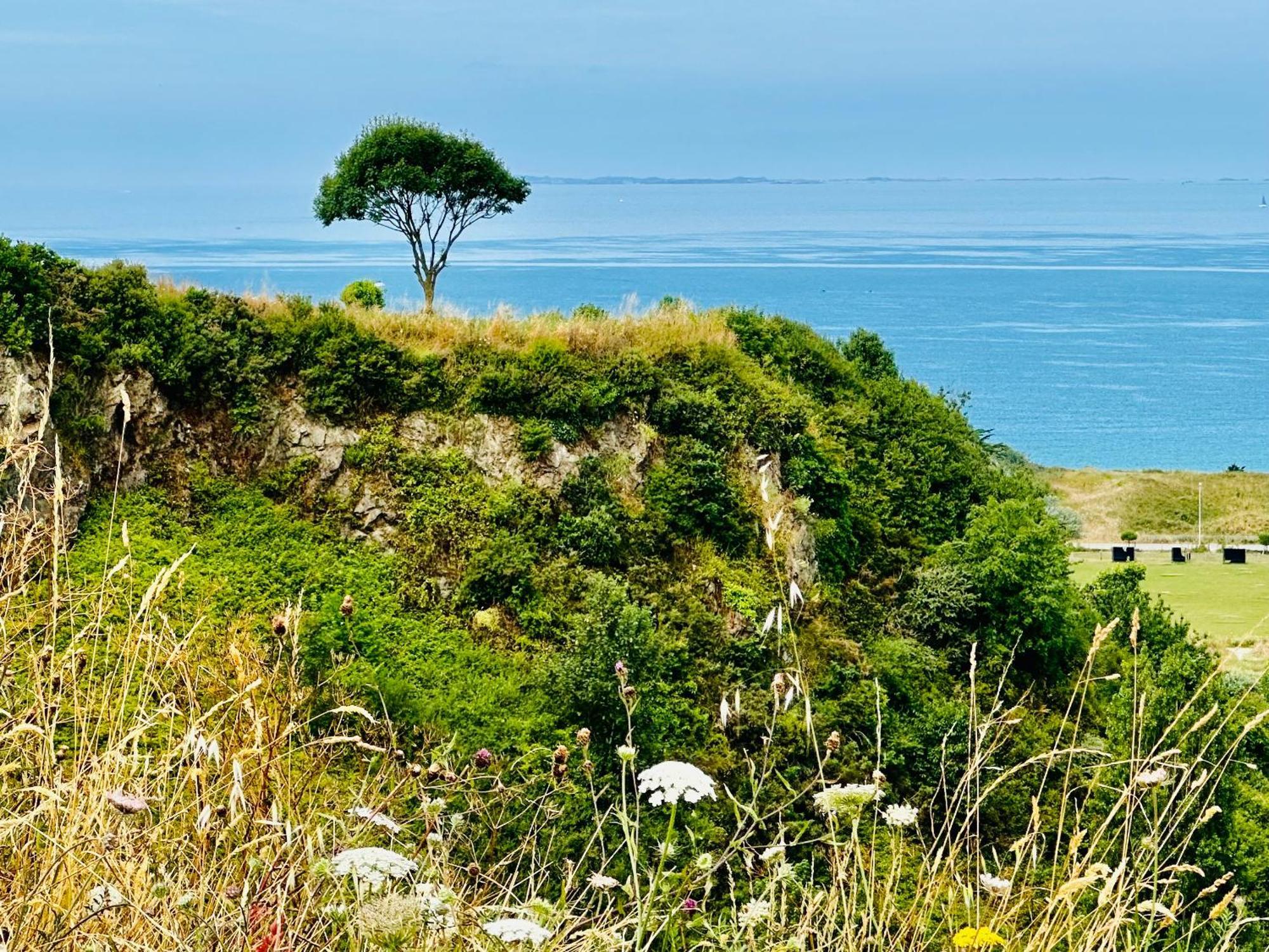 Le Refuge De Lalbatros Vert Donville-les-Bains Kültér fotó